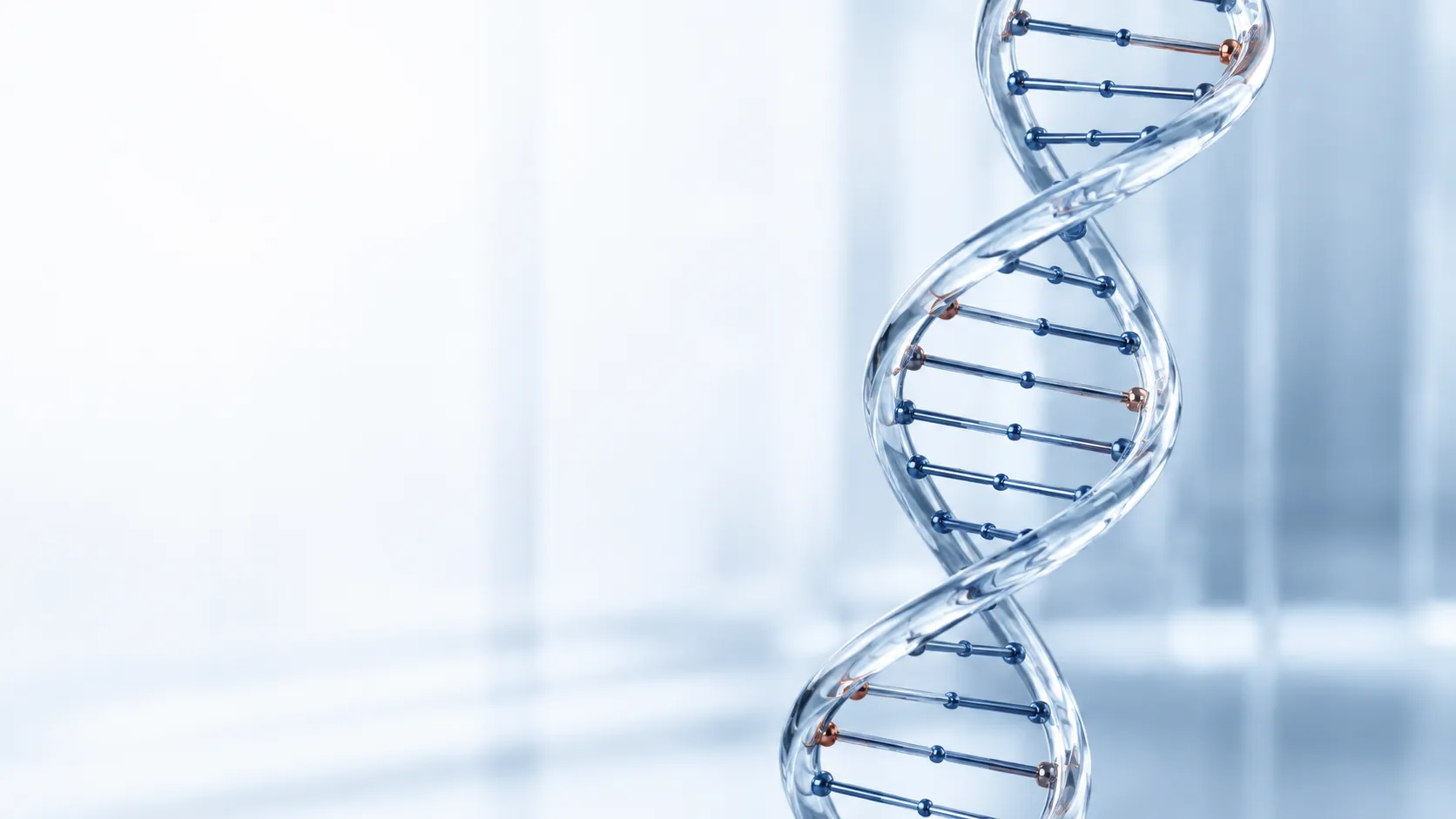 Transparente DNA-Doppelhelix mit dunkelblauen und kupferfarbenen Details vor hellem Hintergrund